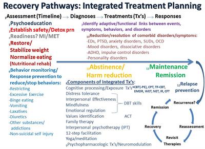 The integrated treatment of eating disorders, posttraumatic stress disorder, and psychiatric comorbidity: a commentary on the evolution of principles and guidelines